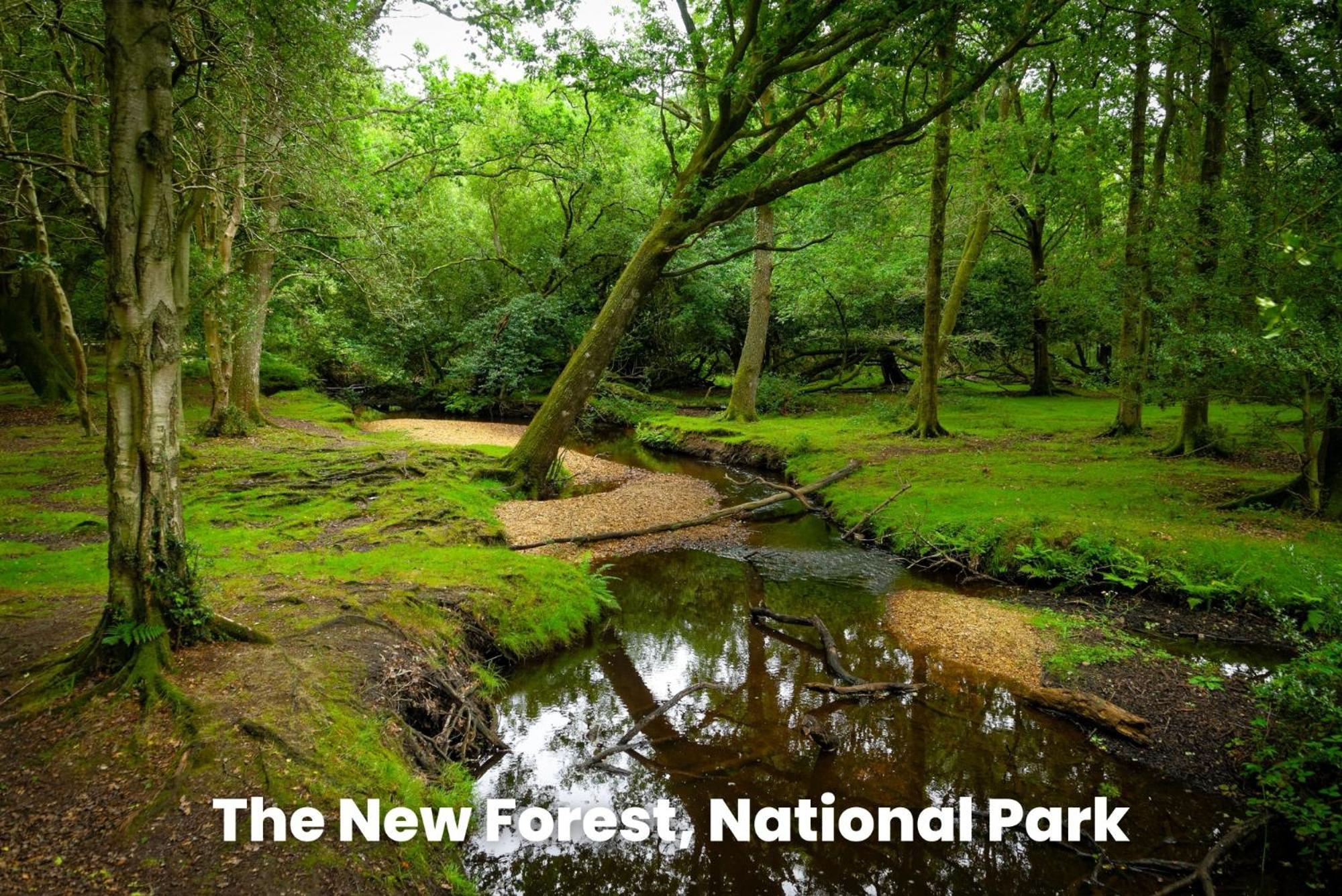 Cosy Retreat Near New Forest Ellingham  Экстерьер фото