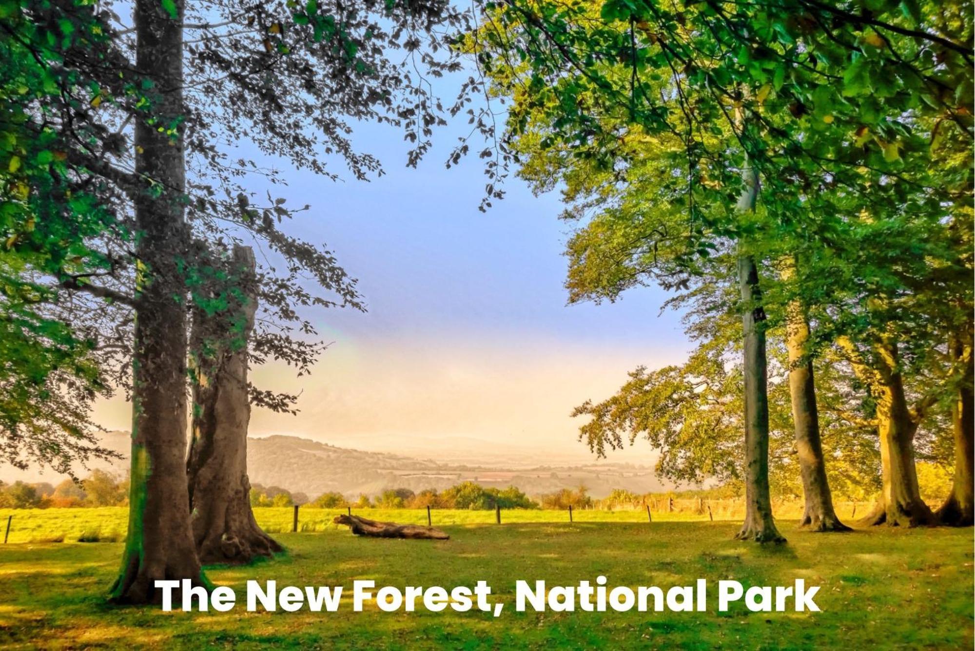 Cosy Retreat Near New Forest Ellingham  Экстерьер фото