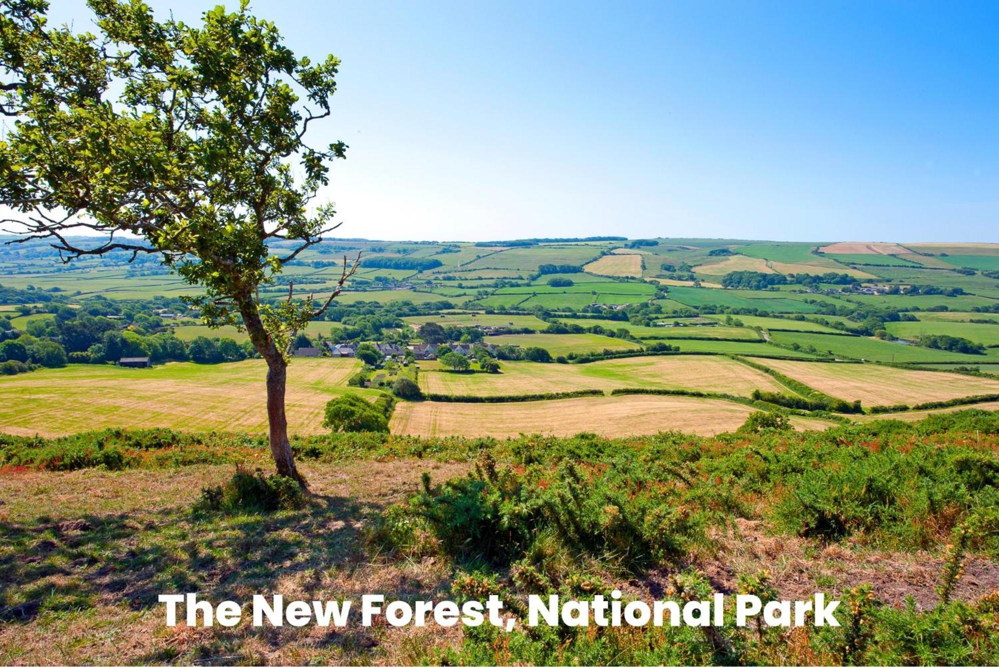 Cosy Retreat Near New Forest Ellingham  Экстерьер фото